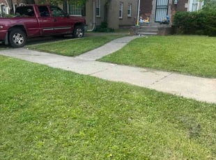 Doreen S.'s lawn care services service result