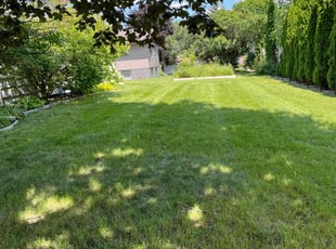 Ottavia S.'s yard work service result