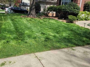 Nicole M.'s lawn care services service result