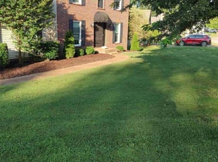 Sandra B.'s turf care service result