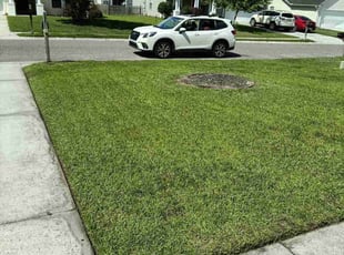 Hugh F.'s turf maintenance service result
