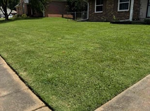Julie B.'s turf care service result
