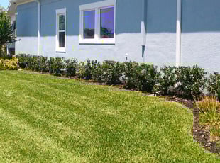 Latrice J.'s Bush Trimming service result