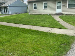 Amer G.'s turf care service result