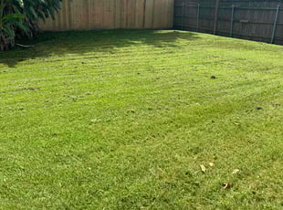 Christopher M.'s lawn maintenance service result