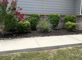 Bryan M.'s Bush Trimming service result