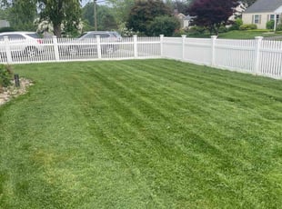 Woodrow G.'s grass maintenance service result