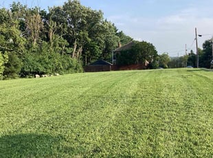 Tracy S.'s lawn maintenance service result