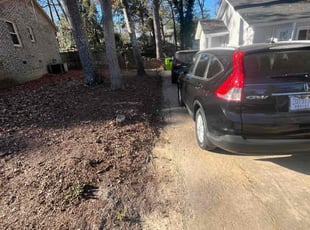 Jim J.'s Leaf Removal service result