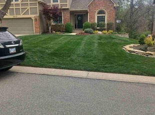 Kathryn F.'s lawn care services service result