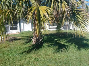 Ethel S.'s lawn service service result