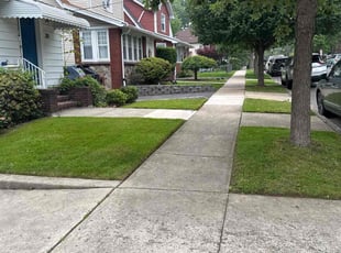 Justin N.'s lawn care service result