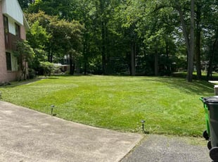 Shawn B.'s turf maintenance service result