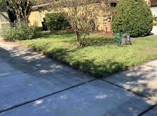 Laura H.'s turf maintenance service result