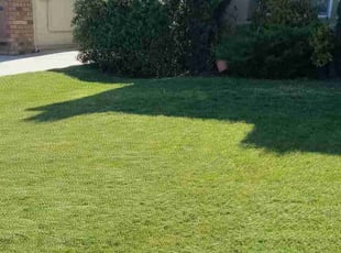 Wade W.'s lawn maintenance service result