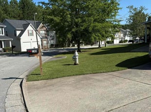 Ana C.'s lawn care services service result