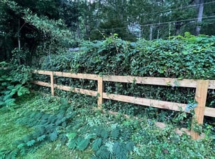 Kathleen P.'s Bush Trimming service result