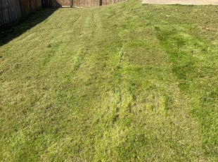 Teresa R.'s turf maintenance service result