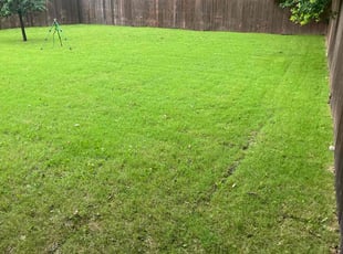 Howard D.'s lawn care service result
