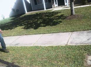 Britney J.'s Flower Bed Weeding service result