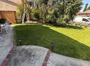 Felipe N.'s grass cutting service result
