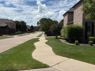 Aja W.'s lawn service service result