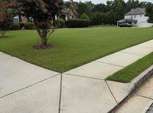 Tyler B.'s grass cutting service result
