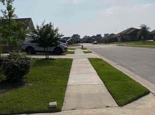 Adaora J.'s grass cutting service result