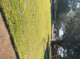 Gary O.'s lawn maintenance service result