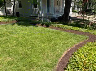 Dave B.'s Leaf Removal service result