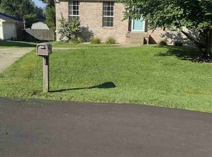 Courtney K.'s turf care service result