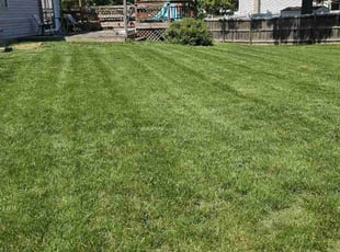 Debra J.'s grass cutting service result