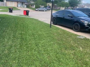 Scott B.'s grass cutting service result