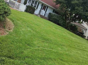 Tama L.'s turf maintenance service result