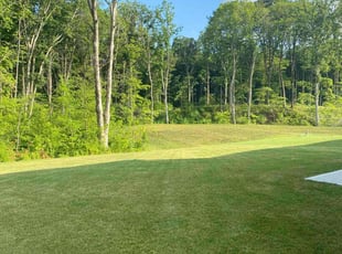 Tracy T.'s lawn care service result