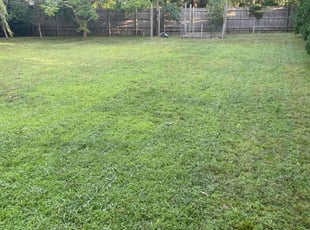 Angela M.'s lawn service service result