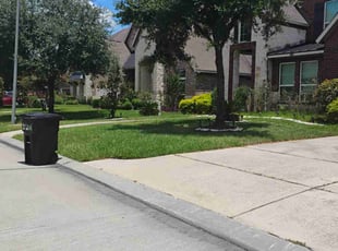 Jared M.'s grass maintenance service result