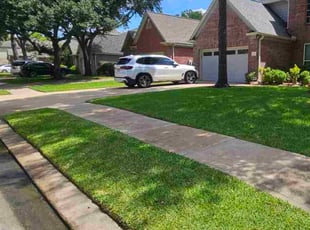 Dustin C.'s lawn care services service result