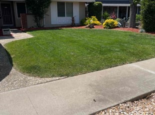 Nyger M.'s turf maintenance service result