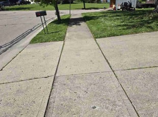 Steve S.'s grass maintenance service result