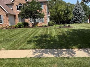 Scott R.'s residential landscaping service result