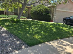 Lindsey R.'s grass cutting service result
