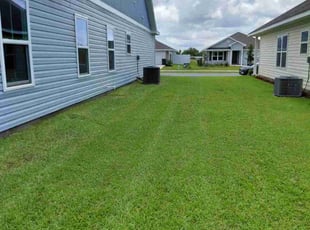 Phyllis C.'s grass cutting service result
