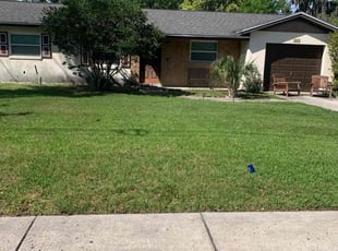 Jenna C.'s grass maintenance service result