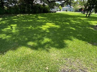 Jackeline R.'s landscape maintenance service result