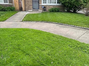 Scarlene A.'s lawn care service result