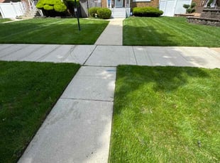 Michele, P.'s grass cutting service result