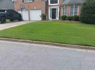 Tracey S.'s turf care service result