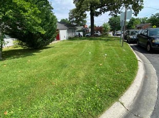 Candice C.'s lawn care service result