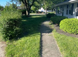 Alina B.'s lawn care services service result